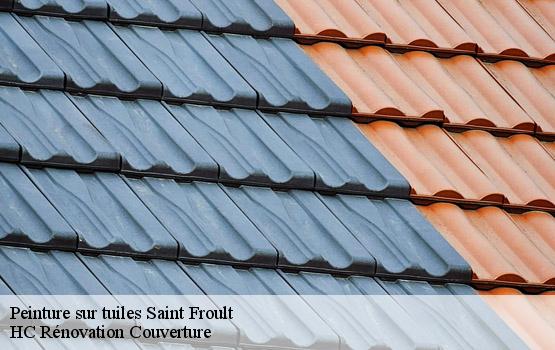 Peinture sur tuiles  saint-froult-17780 HC Rénovation Couverture-1