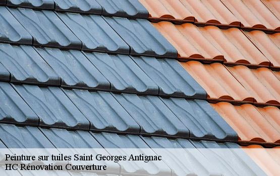 Peinture sur tuiles saint-georges-antignac-17240 HC Rénovation Couverture-1