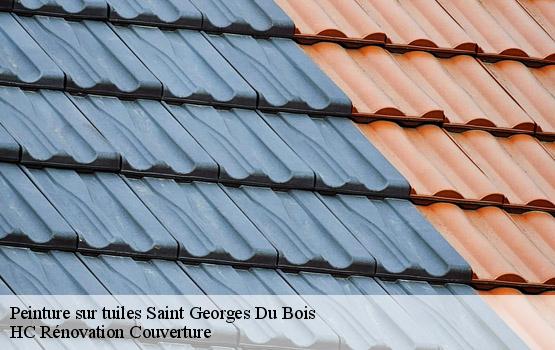 Peinture sur tuiles saint-georges-du-bois-17700 HC Rénovation Couverture-1