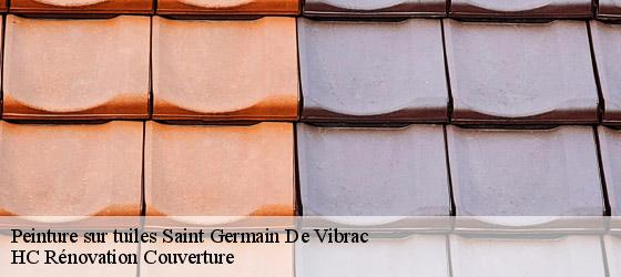 Peinture sur tuiles saint-germain-de-vibrac-17500 HC Rénovation Couverture-4