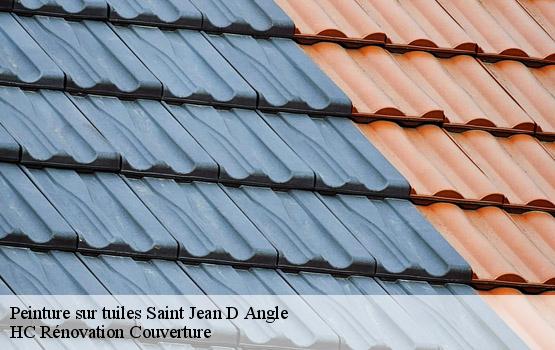 Peinture sur tuiles saint-jean-d-angle-17620 HC Rénovation Couverture-1