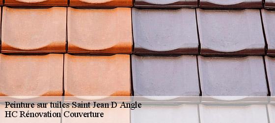 Peinture sur tuiles saint-jean-d-angle-17620 HC Rénovation Couverture-4