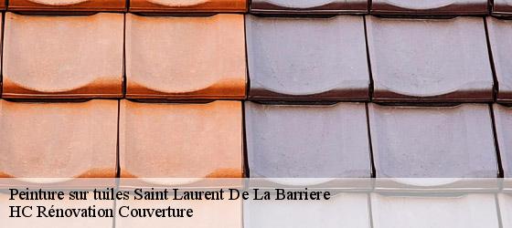Peinture sur tuiles saint-laurent-de-la-barriere-17380 HC Rénovation Couverture-4