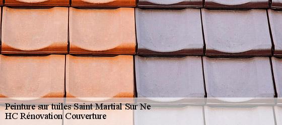 Peinture sur tuiles saint-martial-sur-ne-17520 HC Rénovation Couverture-4