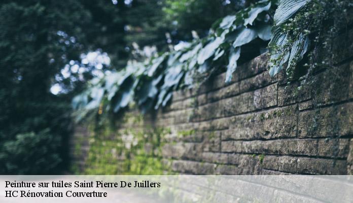 Peinture sur tuiles saint-pierre-de-juillers-17400 HC Rénovation Couverture-7