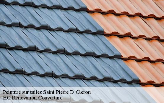 Peinture sur tuiles  saint-pierre-d-oleron-17310 HC Rénovation Couverture-1
