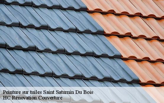 Peinture sur tuiles saint-saturnin-du-bois-17700 HC Rénovation Couverture-1