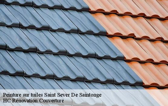 Peinture sur tuiles saint-sever-de-saintonge-17800 HC Rénovation Couverture-1