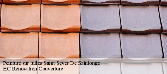 Peinture sur tuiles saint-sever-de-saintonge-17800 HC Rénovation Couverture-4