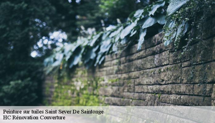 Peinture sur tuiles saint-sever-de-saintonge-17800 HC Rénovation Couverture-7