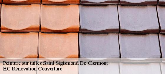 Peinture sur tuiles  saint-sigismond-de-clermont-17240 HC Rénovation Couverture-4