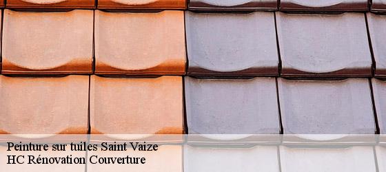 Peinture sur tuiles  saint-vaize-17100 HC Rénovation Couverture-4