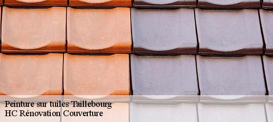 Peinture sur tuiles  taillebourg-17350 HC Rénovation Couverture-4