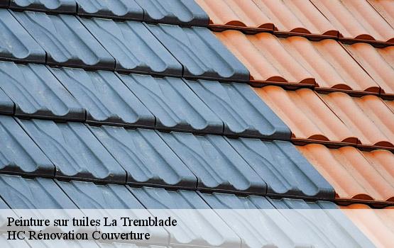 Peinture sur tuiles  la-tremblade-17390 HC Rénovation Couverture-1
