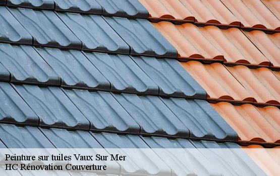 Peinture sur tuiles  vaux-sur-mer-17640 HC Rénovation Couverture-1