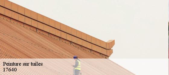 Peinture sur tuiles  vaux-sur-mer-17640 HC Rénovation Couverture-5