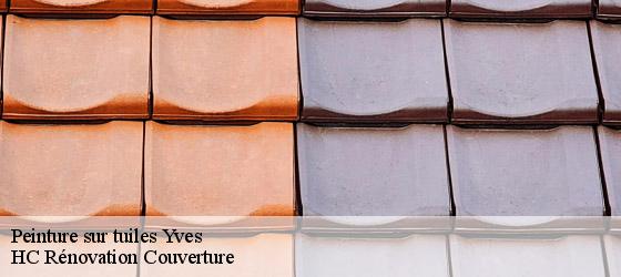 Peinture sur tuiles yves-17340 HC Rénovation Couverture-4