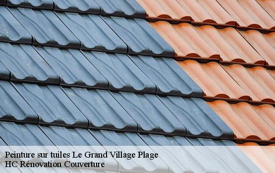 Peinture sur tuiles  le-grand-village-plage-17370 HC Rénovation Couverture-1