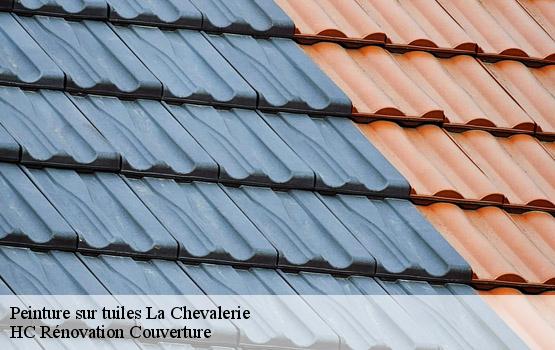 Peinture sur tuiles la-chevalerie-17480 HC Rénovation Couverture-1