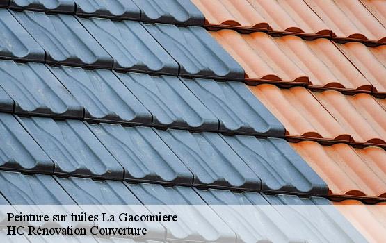Peinture sur tuiles la-gaconniere-17480 HC Rénovation Couverture-1