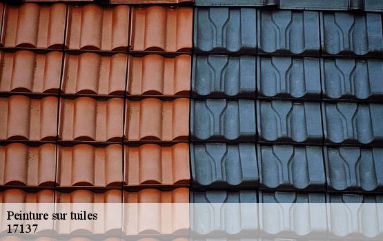 Peinture sur tuiles lauzieres-17137 HC Rénovation Couverture-2