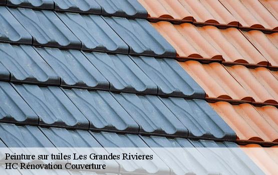 Peinture sur tuiles les-grandes-rivieres-17220 HC Rénovation Couverture-1