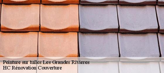 Peinture sur tuiles les-grandes-rivieres-17220 HC Rénovation Couverture-4