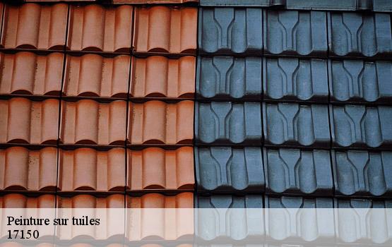 Peinture sur tuiles petit-niort-17150 HC Rénovation Couverture-2