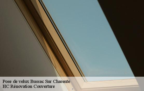 Pose de velux bussac-sur-charente-17100 HC Rénovation Couverture-1