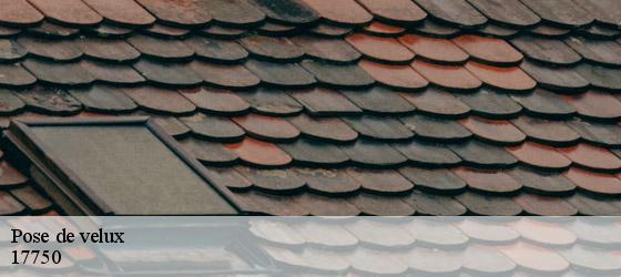 Pose de velux etaules-17750 HC Rénovation Couverture-5