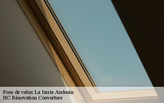 Pose de velux  la-jarrie-audouin-17330 HC Rénovation Couverture-1