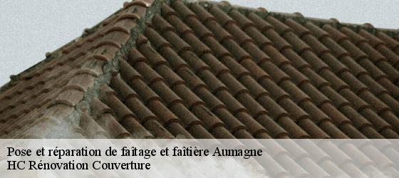 Pose et réparation de faîtage et faîtière aumagne-17770 HC Rénovation Couverture-4