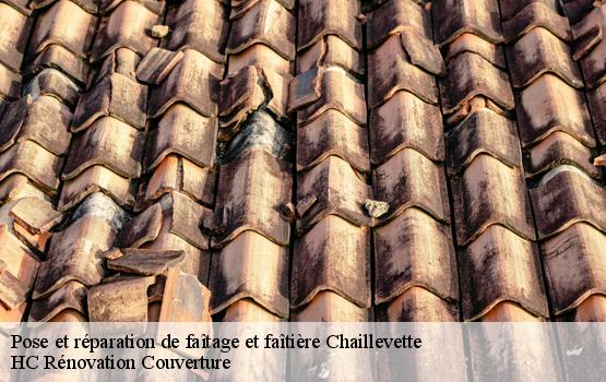 Pose et réparation de faîtage et faîtière chaillevette-17890 HC Rénovation Couverture-1