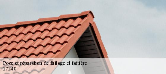 Pose et réparation de faîtage et faîtière mosnac-17240 HC Rénovation Couverture-5