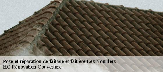 Pose et réparation de faîtage et faîtière  les-nouillers-17380 HC Rénovation Couverture-4