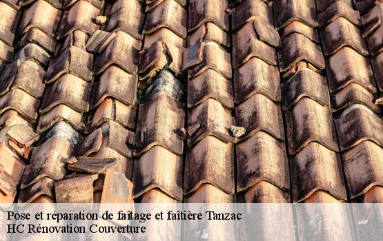 Pose et réparation de faîtage et faîtière tanzac-17260 HC Rénovation Couverture-1