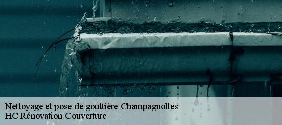 Nettoyage et pose de gouttière champagnolles-17240 HC Rénovation Couverture-4