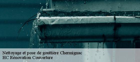 Nettoyage et pose de gouttière chermignac-17460 HC Rénovation Couverture-4