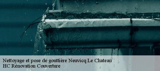 Nettoyage et pose de gouttière neuvicq-le-chateau-17490 HC Rénovation Couverture-4