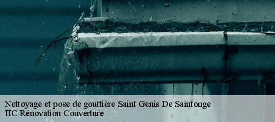 Nettoyage et pose de gouttière saint-genis-de-saintonge-17240 HC Rénovation Couverture-4