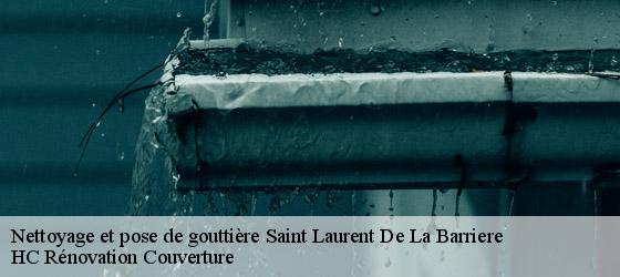 Nettoyage et pose de gouttière saint-laurent-de-la-barriere-17380 HC Rénovation Couverture-4