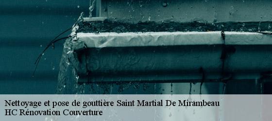 Nettoyage et pose de gouttière saint-martial-de-mirambeau-17150 HC Rénovation Couverture-4