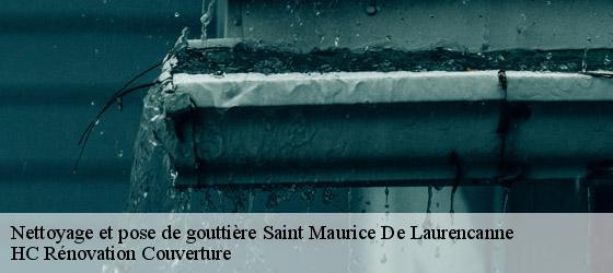 Nettoyage et pose de gouttière  saint-maurice-de-laurencanne-17130 HC Rénovation Couverture-4