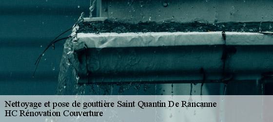 Nettoyage et pose de gouttière saint-quantin-de-rancanne-17800 HC Rénovation Couverture-4