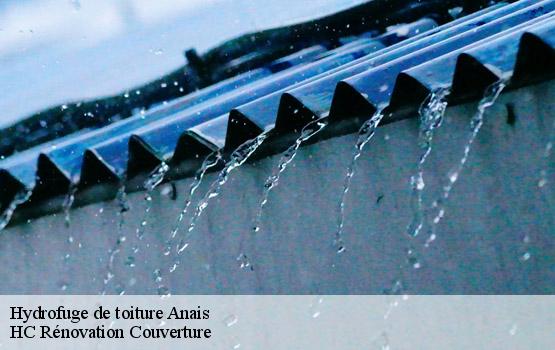 Hydrofuge de toiture  anais-17540 HC Rénovation Couverture-1