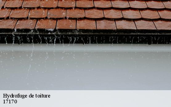 Hydrofuge de toiture benon-17170 HC Rénovation Couverture-2