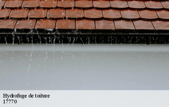 Hydrofuge de toiture  migron-17770 HC Rénovation Couverture-2
