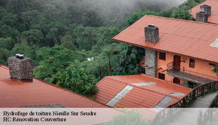 Hydrofuge de toiture nieulle-sur-seudre-17600 HC Rénovation Couverture-7