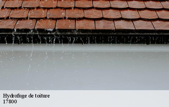 Hydrofuge de toiture  rouffiac-17800 HC Rénovation Couverture-2