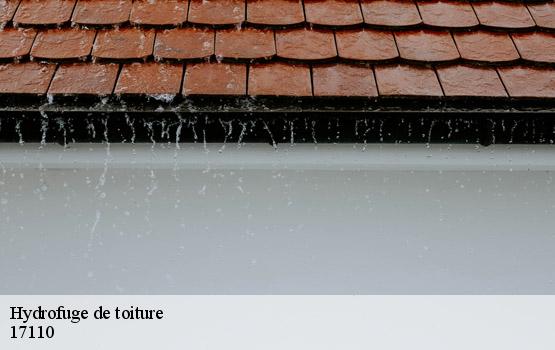 Hydrofuge de toiture saint-georges-de-didonne-17110 HC Rénovation Couverture-2